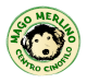 mago merlino